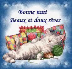 bonne nuit !!! - Page 30 23101010