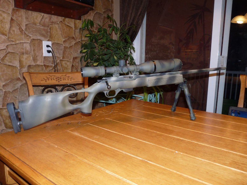 Mossberg 17 hmr 817 P1060810