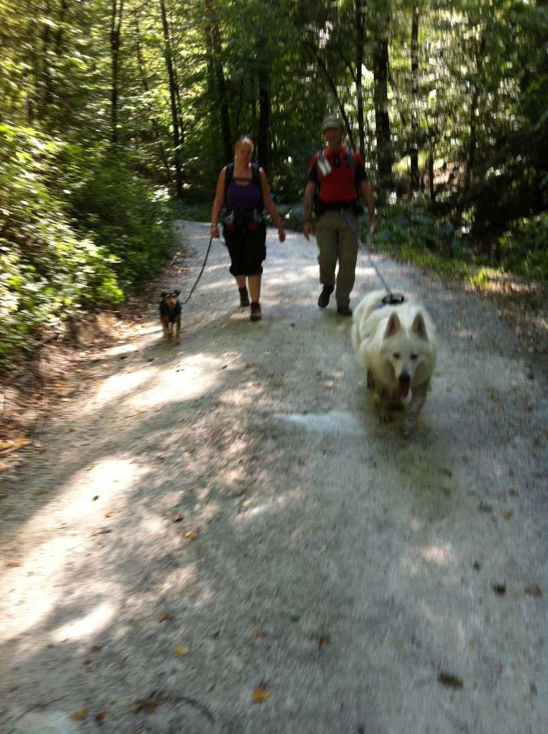 Pannonia Dogtrekking - Seite 4 Img_3717