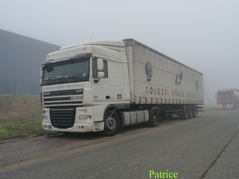 Colucci World Logistics (Groupement Astre)(Ozzano dell'Emilia) 012_co14