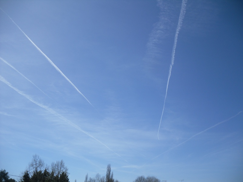 chemtrails - Actualités - Chemtrails - Epandages - Page 3 Sam_4117