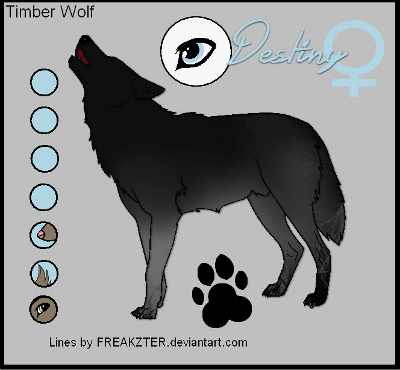 Erster Wolf - Seite 3 Welpe012