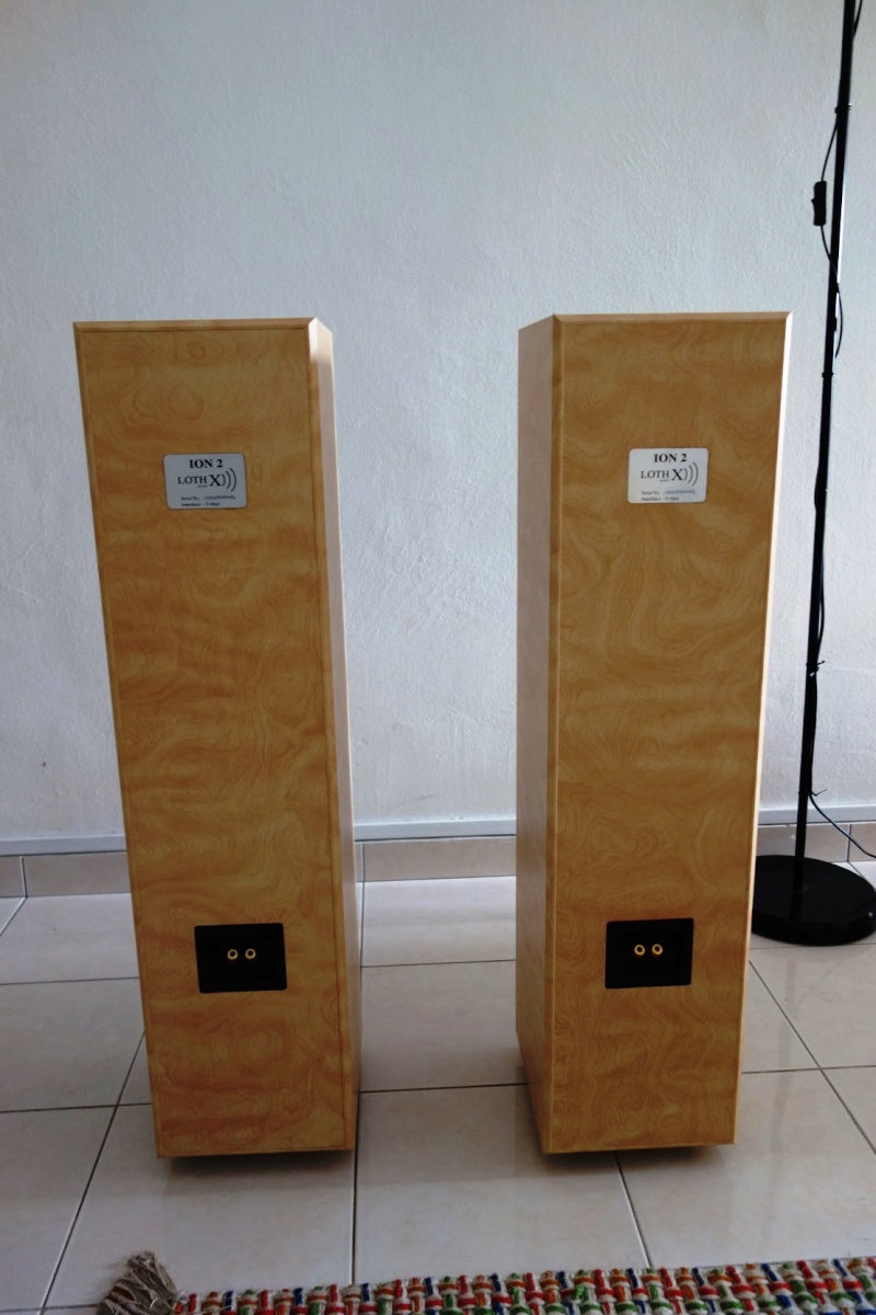 Loth X Ion 2 Floor Standing Speaker Dsc04613