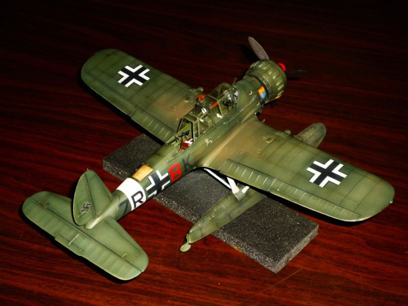 ARADO Ar196A (ITALERI) [Modèle terminé] P1060014