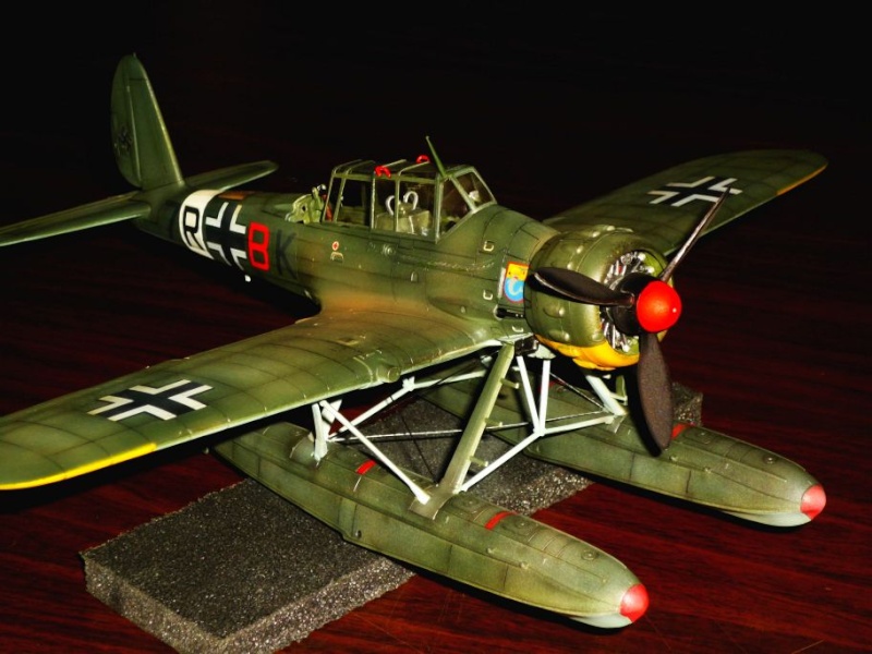 ARADO Ar196A (ITALERI) [Modèle terminé] P1060016