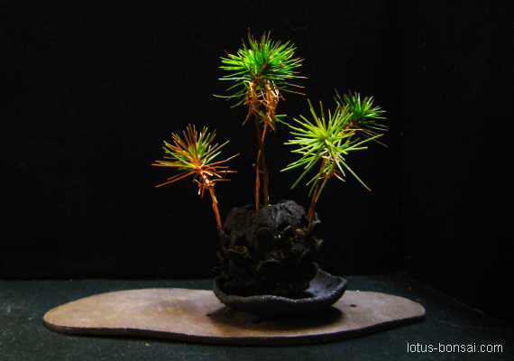 2013 bonsai penjing figures Pomme-10