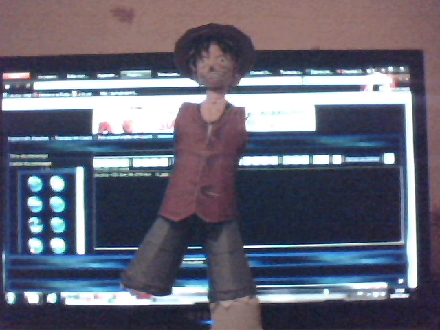 monkey.d.luffy  Pictur19