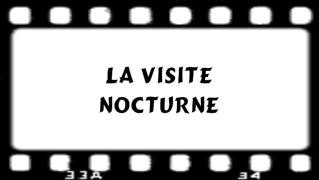 EXPOSTION DE LANTERNES DE FORTERESSE ET VISITE NOCTURNE E10