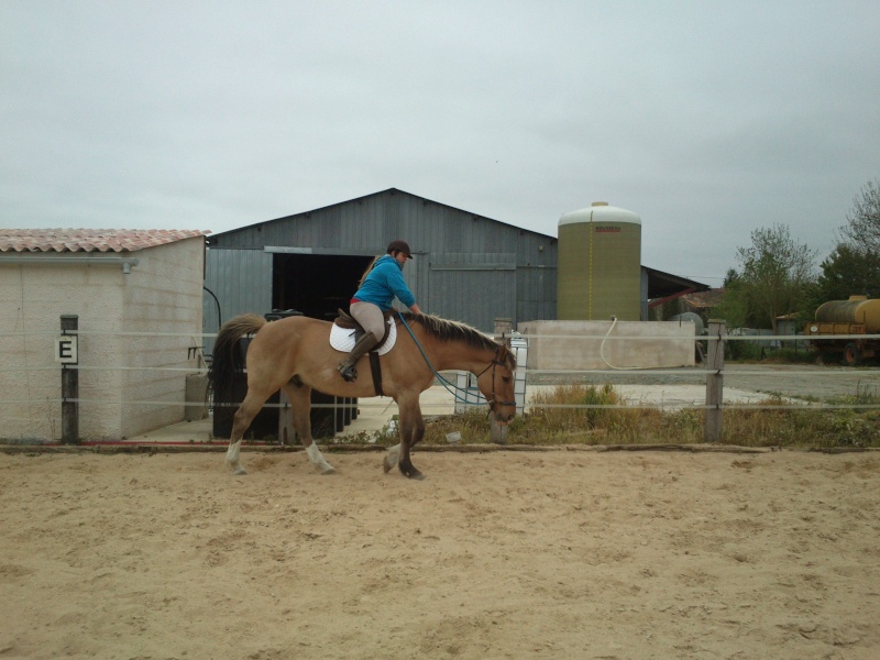 Les compléments alimentaires pour chevaux fonctionnent t'ils bien? Dsc_0110