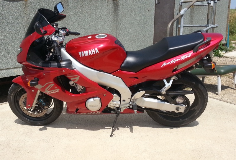 Have to Sell the Cat 20130710