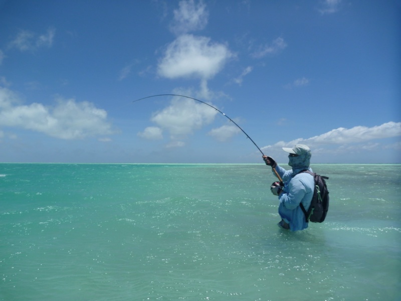 Flyfishing avantura na Christmas Islands - Page 2 Iqvgjq10