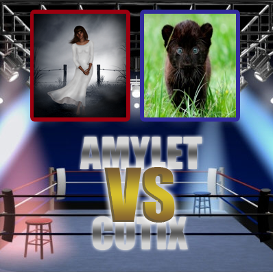 [Clos] Duel n°1 round 1 : Amylet VS Cutix Combat10