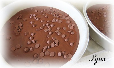 Gâteau double chocolat, ganache et glaçage à la crème sûre Gzetea15