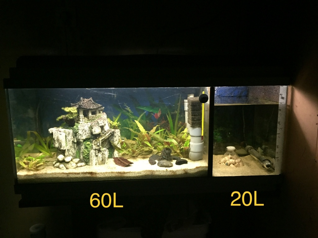 Aquarium Olir1 7a60cb10