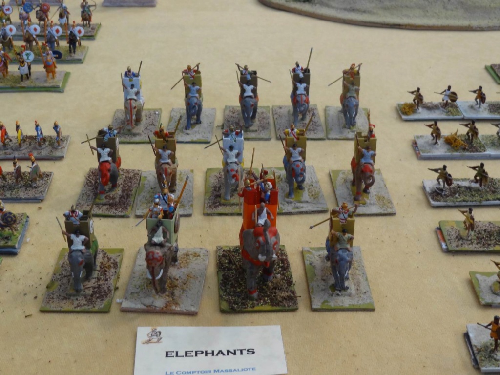 PALAVAS LES FLOTS (34 HERAULT) Compte rendu de l exposition des 22 et 23 février 2020 ... Micro_11