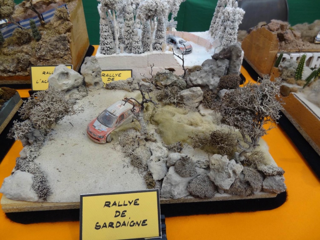 PALAVAS LES FLOTS (34 HERAULT) Compte rendu de l exposition des 22 et 23 février 2020 ... Voitur13
