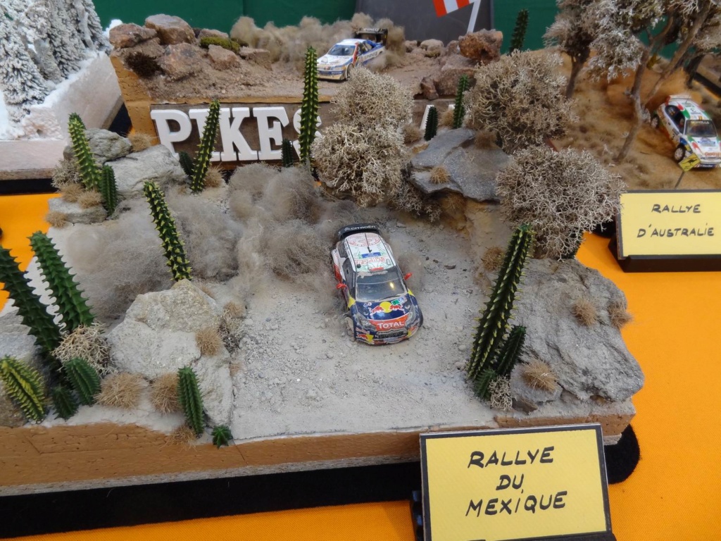 PALAVAS LES FLOTS (34 HERAULT) Compte rendu de l exposition des 22 et 23 février 2020 ... Voitur15
