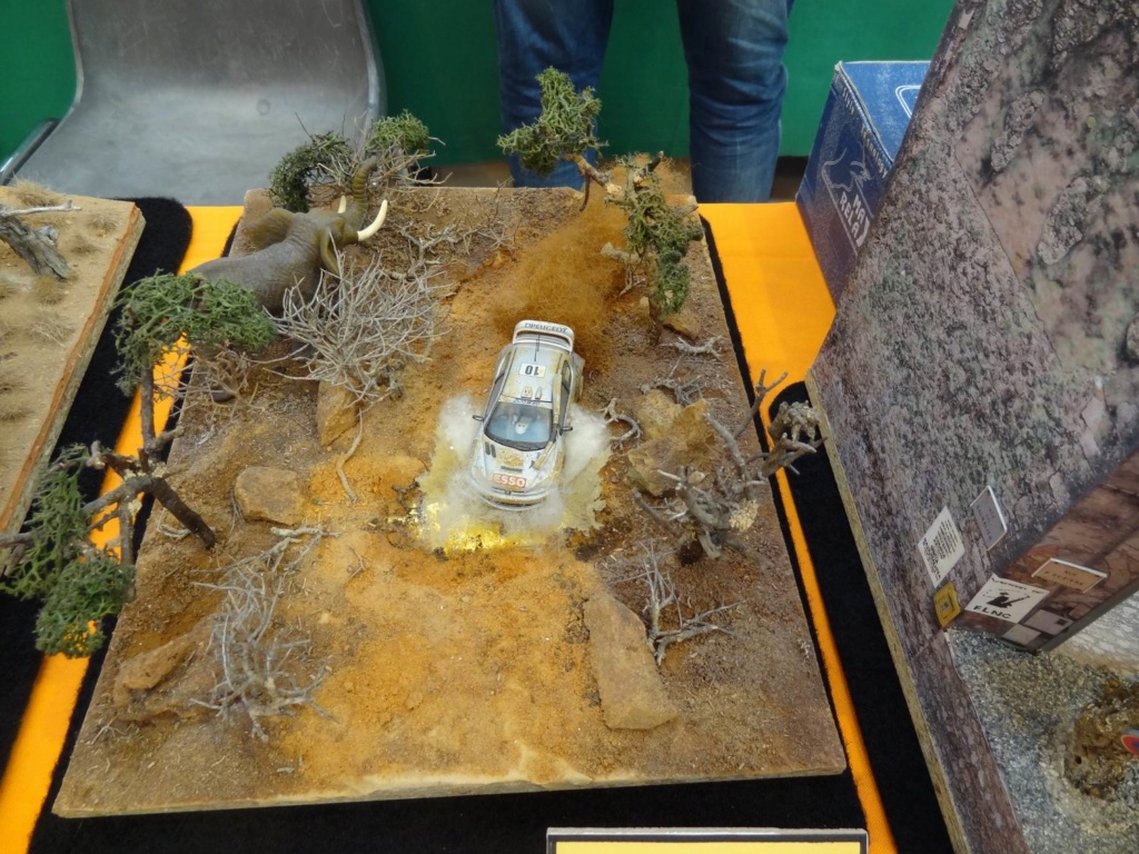 PALAVAS LES FLOTS (34 HERAULT) Compte rendu de l exposition des 22 et 23 février 2020 ... Voitur16
