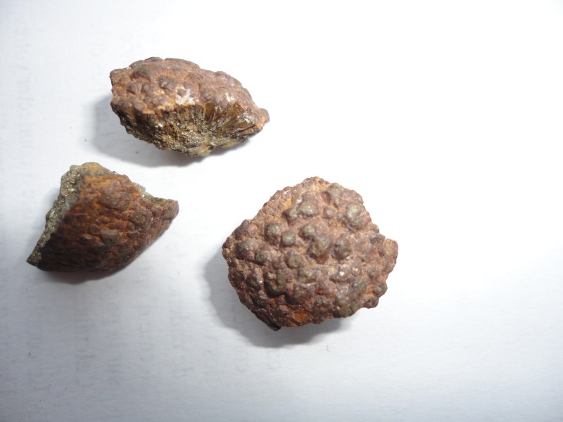 meteorite  Dsc01811