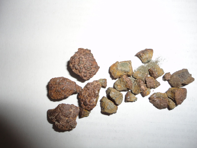 meteorite  Dsc01816