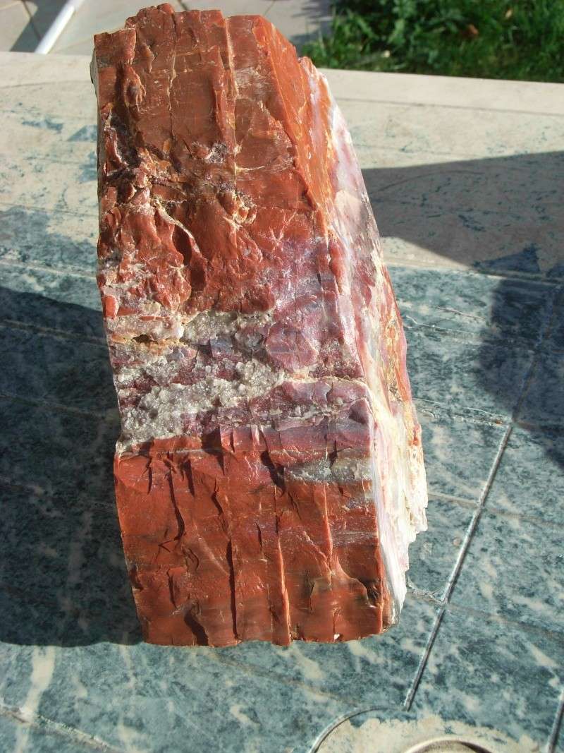 Bois pétrifié du Bas-Rhin Rimg0011