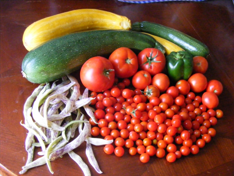 Western Mountains and High Plains: What are you harvesting? - Page 2 Dscf5514