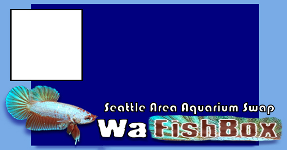 Second Seattle Area Aquarium SWAP meet Wafish12