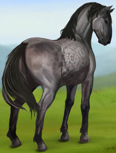 Le cheval sauvage : Sorraia 111