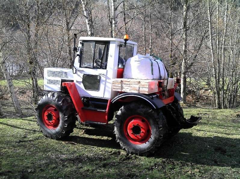 Un nouveau moggueur dans l'Isère 2013-011