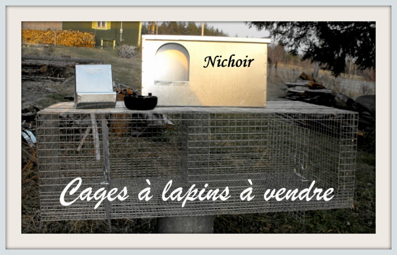 Cages pour cailles ou lapins à vendre Cage_l10