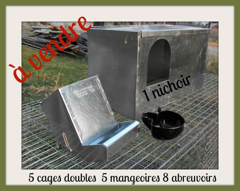 Cages pour cailles ou lapins à vendre Cage_l11
