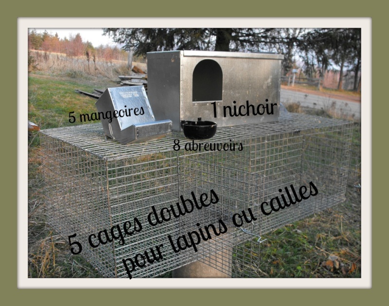 Cages pour cailles ou lapins à vendre  Cages_10