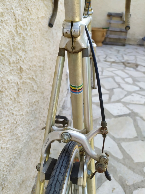 Cycles Valestra - Cadre Alan 1980? Img_2260