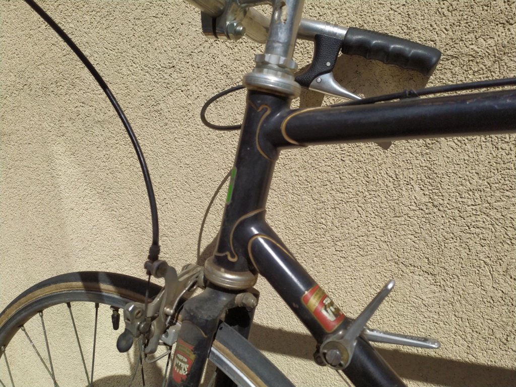 Cycle J.Arnoult - Super Vitus 971 - 1980 Img_2380