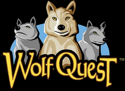 Wolf Quest Zzzzzz14