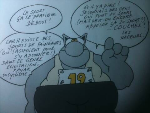 Le Chat Et Le Sport Le Chat Et Le Sport