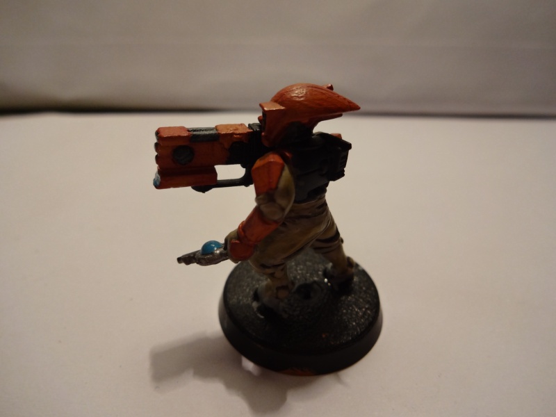 [Tau] Armée tau de Zenrik Dsc02810