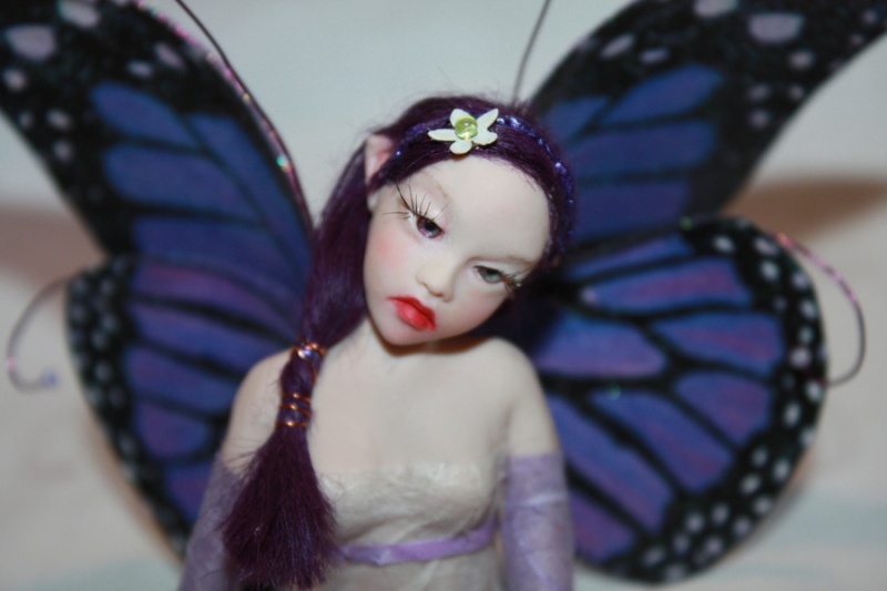 Purple Butterfly C10