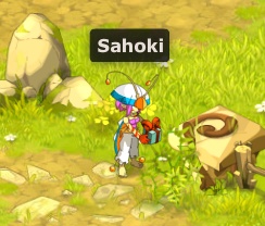Candidature de Sahoki (Acceptée) Sahoki10
