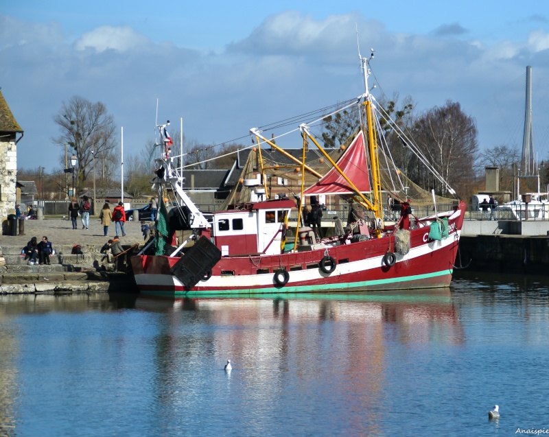 La petite chine  Honfleur Petite11