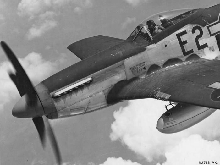 P-51D Mustang (Tamiya 1/32) - Page 2 Fb_day10