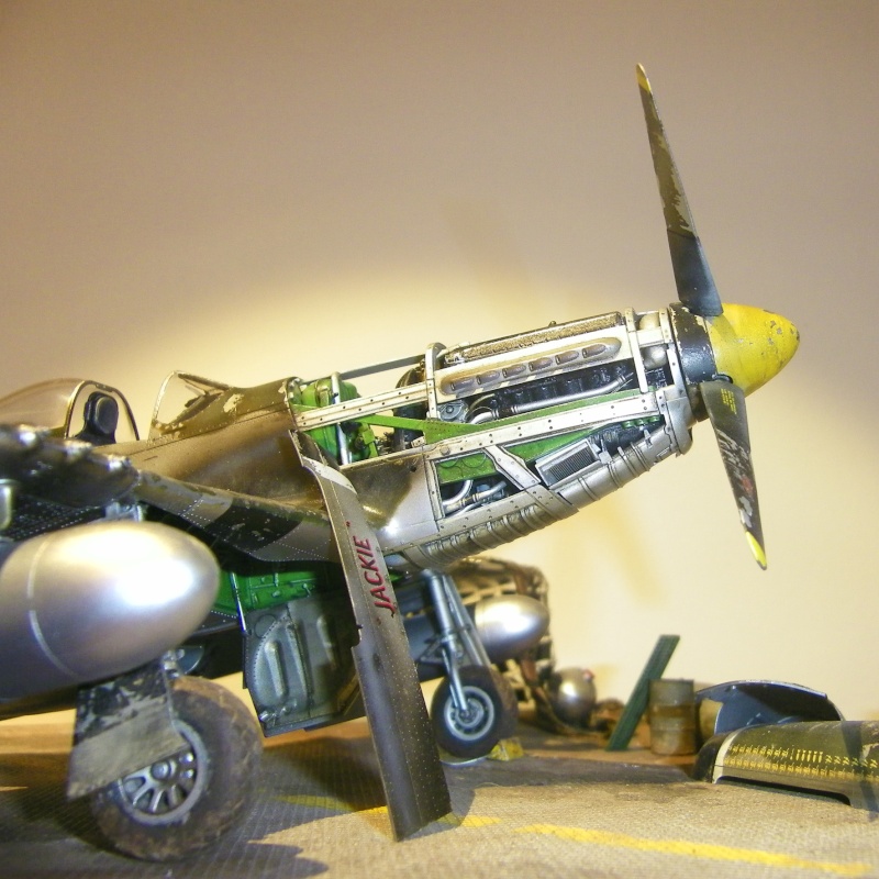 P-51D Mustang (Tamiya 1/32) P51d_c12