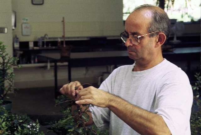 American Bonsai at the NC Arboretum - Page 4 _97_ex10