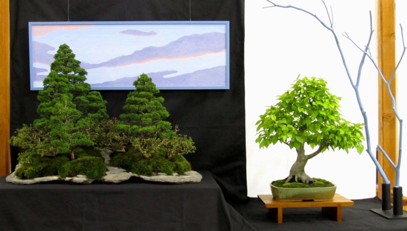 American Bonsai at the NC Arboretum Arbore10