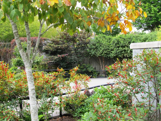 American Bonsai at the NC Arboretum - Page 4 C10