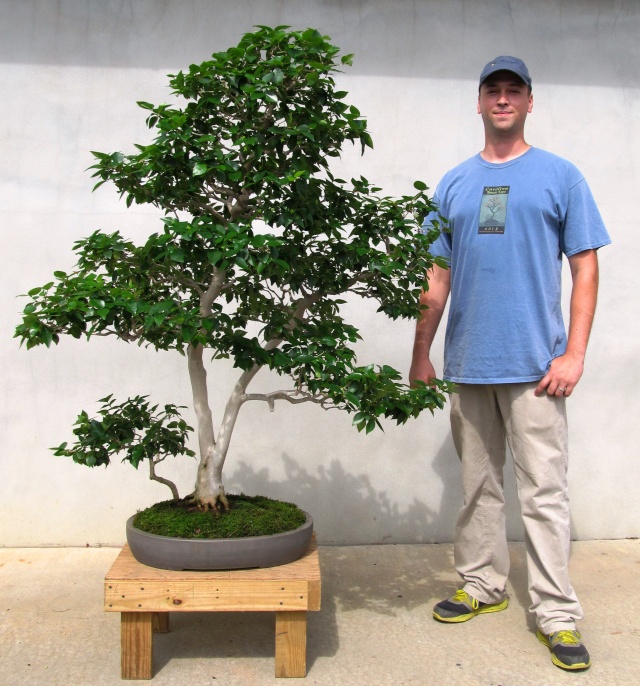 American Bonsai at the NC Arboretum - Page 4 Img_5711