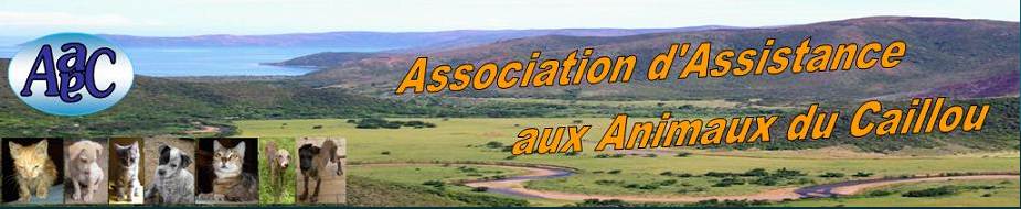 Association d'Assistance aux Animaux du Caillou 