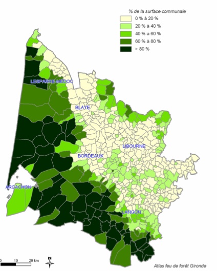 Les Feux de Forêt du Médoc  Taux_d10