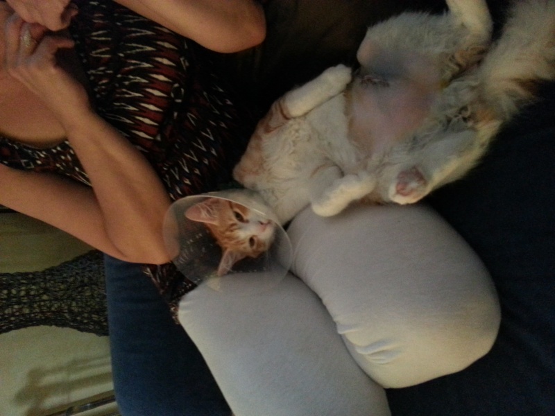 BIGOUDI (Izzy) - Page 3 20130716