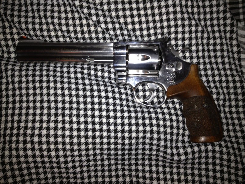 .44 Magnum => Smith & Wesson / Taurus / Ruger ??? Img_1410